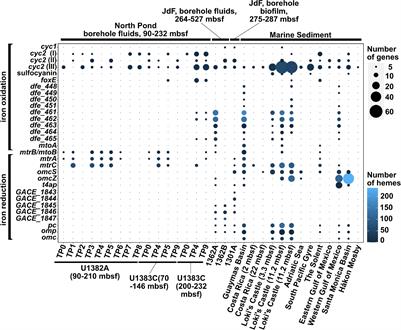 Metagenomic Insights Into the Microbial Iron Cycle of Subseafloor Habitats